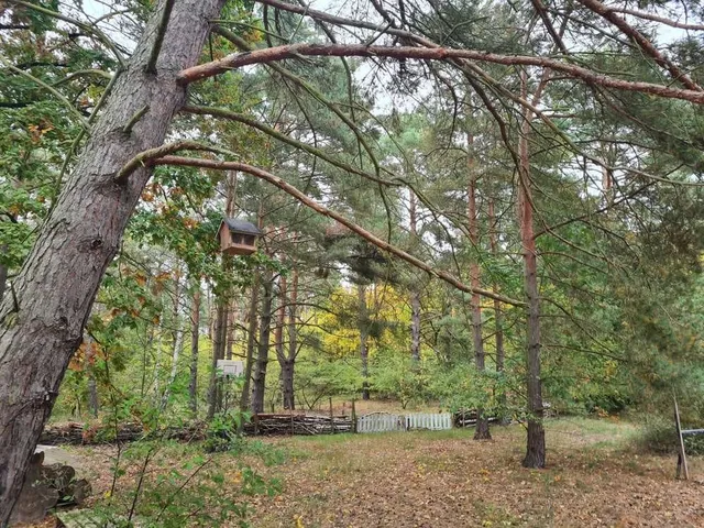 Waldgrundstück mit Haus nahe der Havel